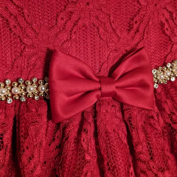 Classic Elegant Lace Dress| Sophisticated Playful Princesscore Vibes - Picture 3 of 8